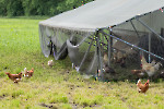 Hoffest Lüherlerheim 2024/ Fotos Rainer Hoheisel und Gaby Eggert
