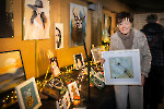 Weihnachtszauber Weselerwald/ Fotos Rainer Hoheisel